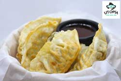 Gyozas de Pollo